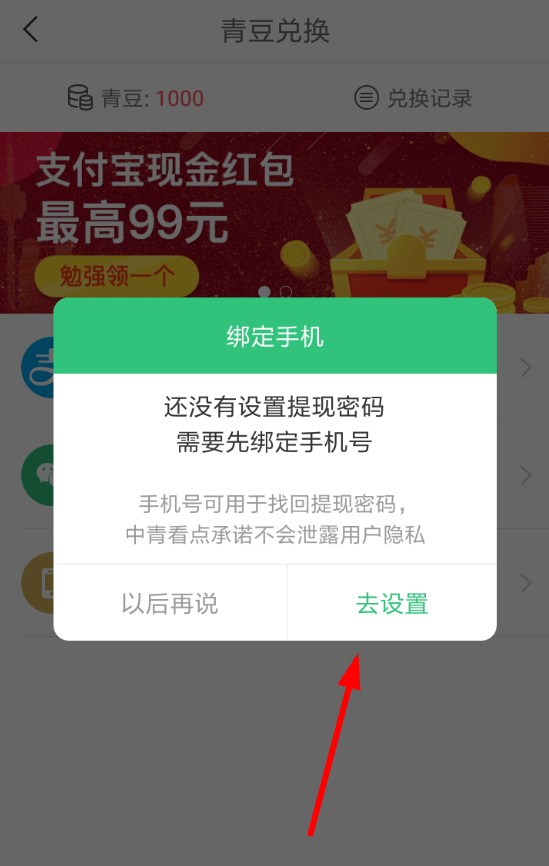 在中青看点中提现收益的方法介绍截图