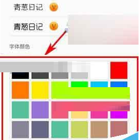 青葱日记设置字体颜色的基础操作截图