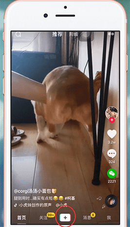 抖音APP甩狗头特效使用操作讲解截图