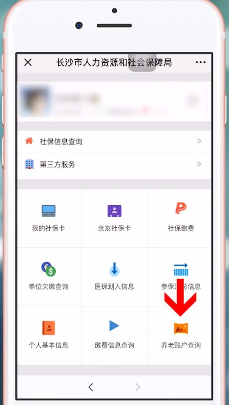 微信查询养老保险的操作步骤截图