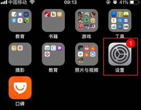 iphone11手机开启亮度自动调节的方法介绍截图