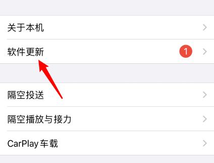 苹果手机怎么升级ios14正式版?苹果升级ios14正式版的步骤方法截图