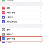 小编分享iphone防误触怎么打开。