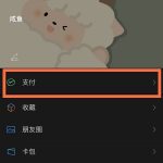 分享苹果手机微信支付怎么加密。