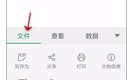 WPS Office APP查看表格信息的简单方法截图