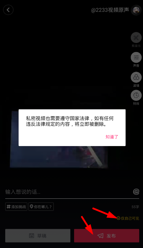 抖音app发布隐私作品的详细操作截图