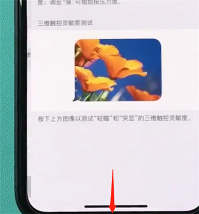 在iphonexr中打开半屏功能的详细教程截图