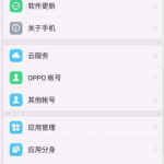 关于在oppor17中设置抬手亮屏的详细步骤。