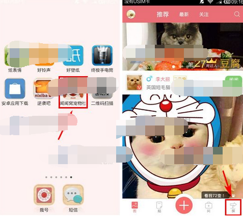 在闻闻窝APP里发领养信息的具体操作截图