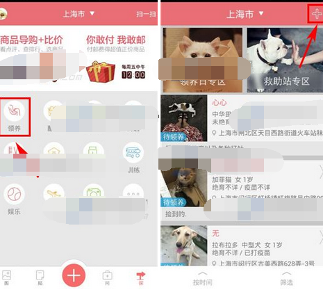 在闻闻窝APP里发领养信息的具体操作截图