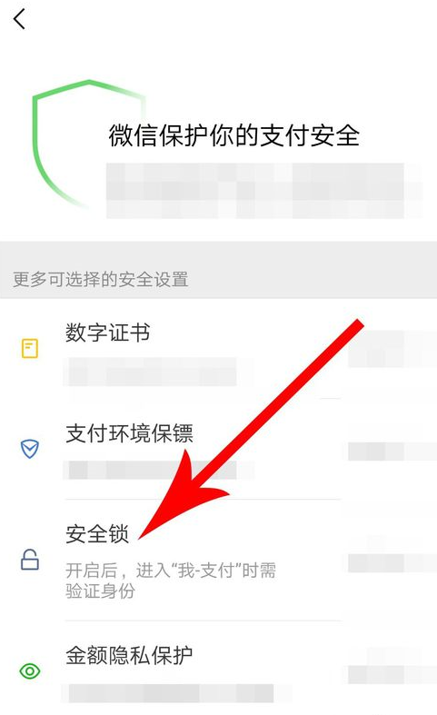 微信APP设置支付安全锁的基础操作截图