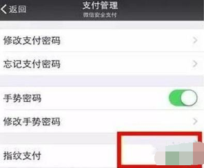 vivoz5开启微信指纹支付的图文步骤截图