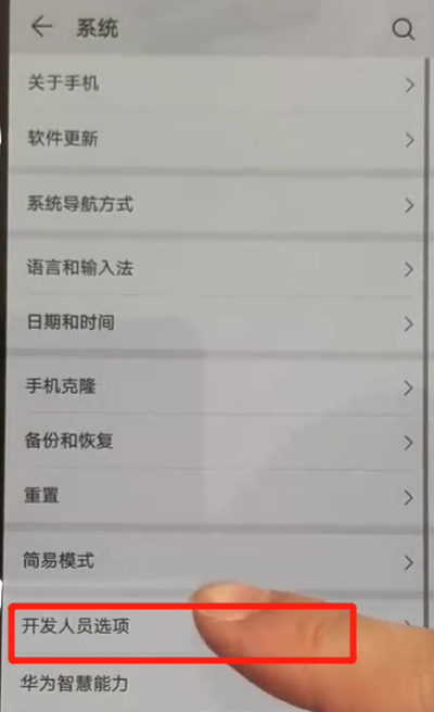 华为p30pro中开启开发人员选项的操作教程截图