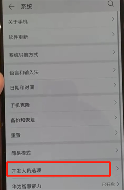 华为p30pro中关闭开发人员选项的操作教程截图