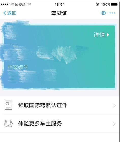 利用支付宝领取国际驾照的详细方法截图