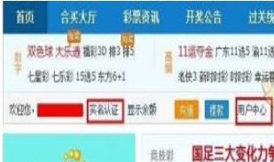 在新浪爱彩中进行实名认证的方法介绍
