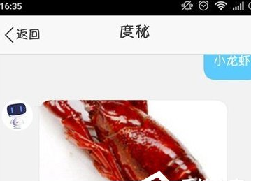 在度秘中搜索美食的具体方法截图