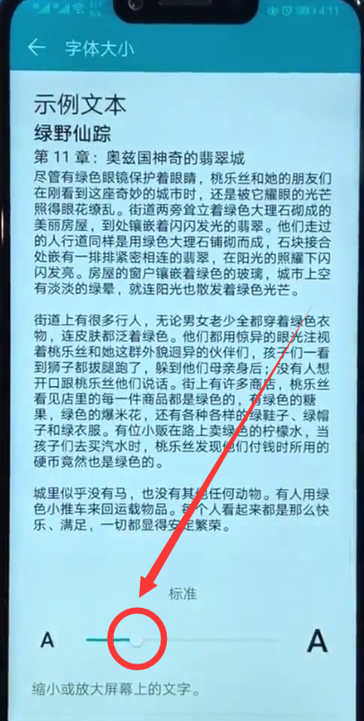 在荣耀10中设置字体大小的图文教程截图