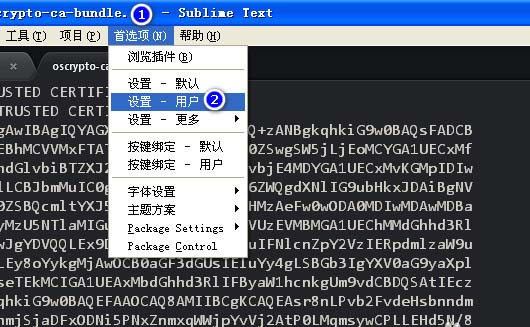 在sublime text中设置禁止打开上次关闭未退出的文件的方法讲解截图