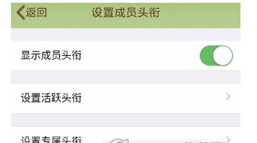 qq群头衔设置的方法讲解截图