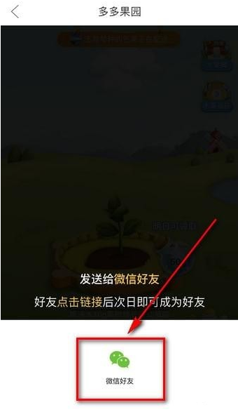 在拼多多果园APP中加好友的图文教程截图