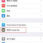 我来分享通过iphonexs刷公交的操作过程。