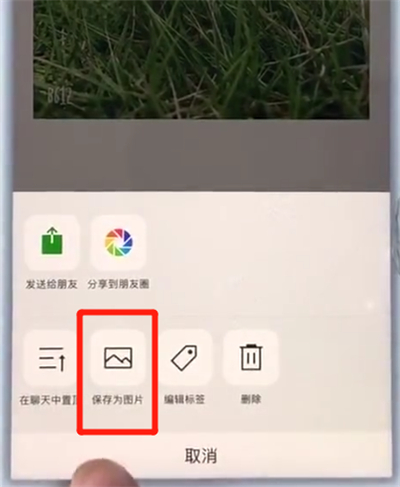 苹果7plus截长图的详细操作截图