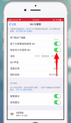 苹果手机开启siri功能的操作流程截图