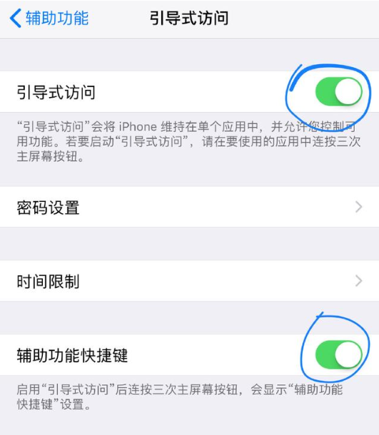 iPhone打开引导式访问功能的基础操作截图