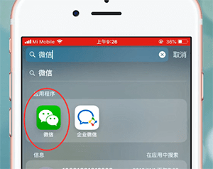 苹果手机里微信找不到了的处理操作截图
