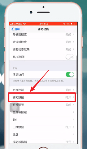 iphone手机设置手势的操作流程截图