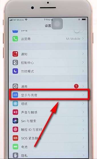 苹果手机调整字体的操作过程截图