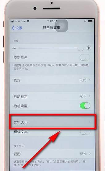 苹果手机调整字体的操作过程截图