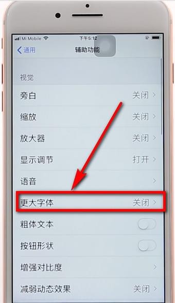 苹果手机调整字体的操作过程截图