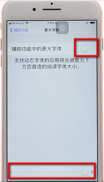 苹果手机调整字体的操作过程截图