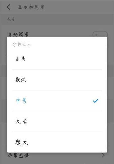 魅族16s调整字体的简单操作截图