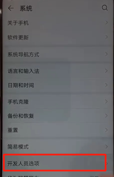 华为nova4关掉开发人员选项的详细操作截图