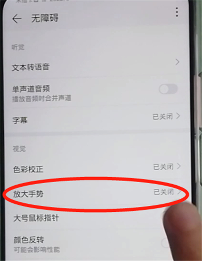 荣耀9x开启放大功能的操作教程截图