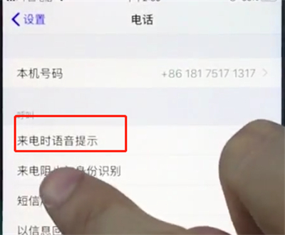 苹果8plus开启来电语音提醒的具体操作截图