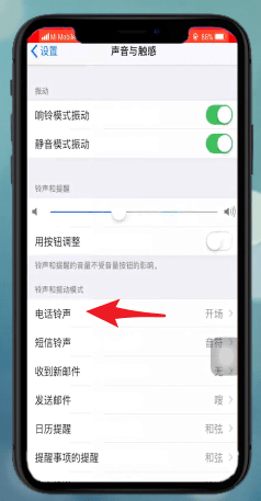 苹果xr设置铃声的操作流程截图