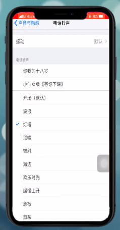 苹果xr设置铃声的操作流程截图