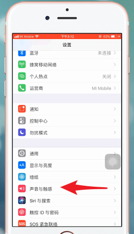 苹果手机设置铃声的具体操作截图