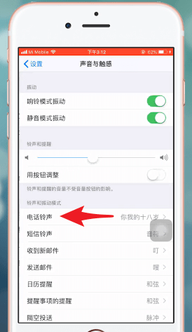 苹果手机设置铃声的具体操作截图