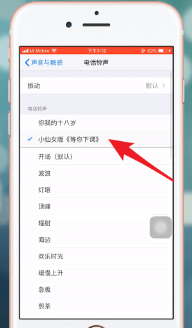 苹果手机设置铃声的具体操作截图