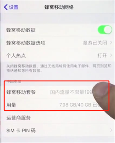 苹果手机查询移动流量的简单操作截图