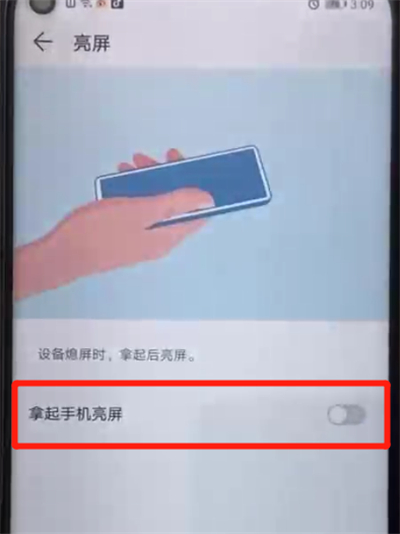 荣耀20pro中设置抬起亮屏的操作步骤截图
