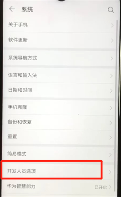 华为nova4e中打开usb调试功能的操作教程截图