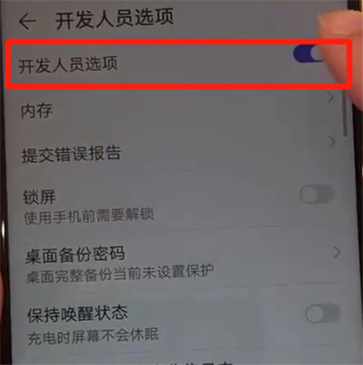 华为nova4中开启开发者选项的操作教程截图