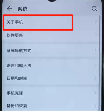 荣耀20i中进入开发者模式的操作方法截图