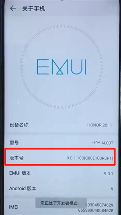 荣耀20i中进入开发者模式的操作方法截图